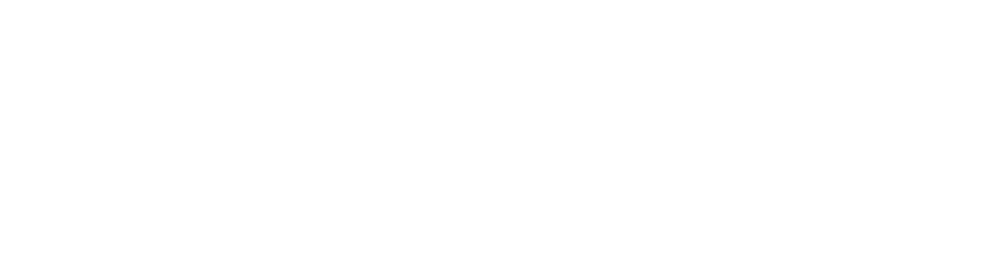 SEBO SELECT